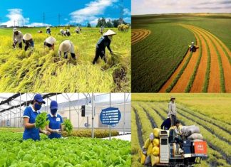 Thúc đẩy kinh tế tuần hoàn trong nông nghiệp, phát triển nông thôn bền vững