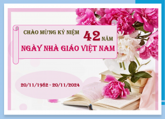 Kỷ niệm 42 năm Ngày Nhà giáo Việt Nam (20/11/1982 – 20/11/2024)