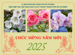 Chúc mừng năm mới 2025!