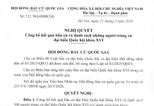 Chi tiết DANH SÁCH TRÚNG CỬ ĐẠI BIỂU QUỐC HỘI KHÓA XVI